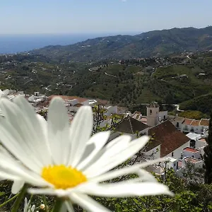 https://holiday-home-villa-ana.es-andalucia.com